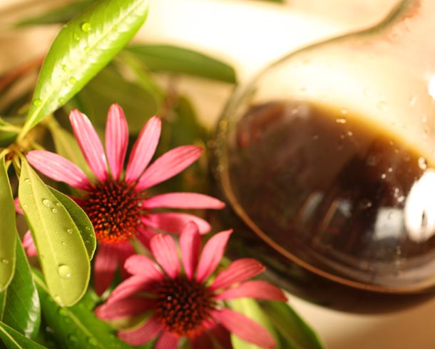 Picture of Echinacea on a table with a glass with tincture 